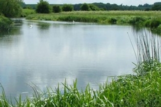 An image of a river and grass verge at Chimney Meadows Nature Reserve