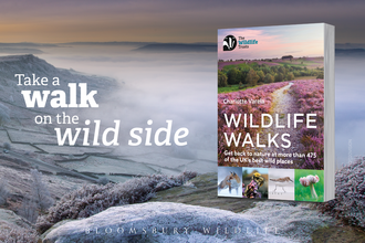 Wildlife Walks Book - Spotlight image
